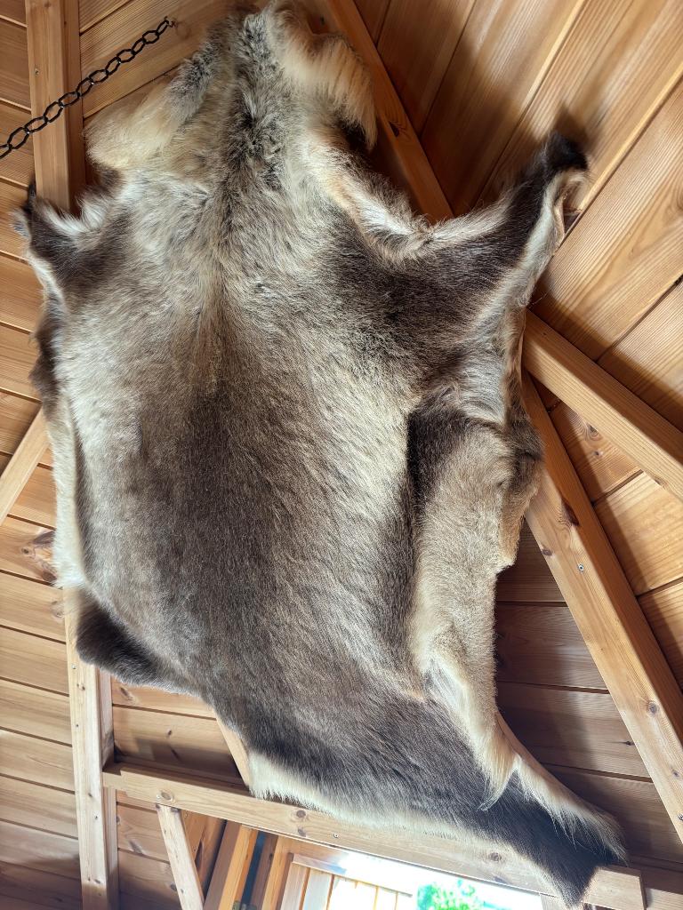 12 Rendierhuiden uit Finland, Bruin, Zo goed als nieuw, 150 tot 200 cm, Rechthoekig