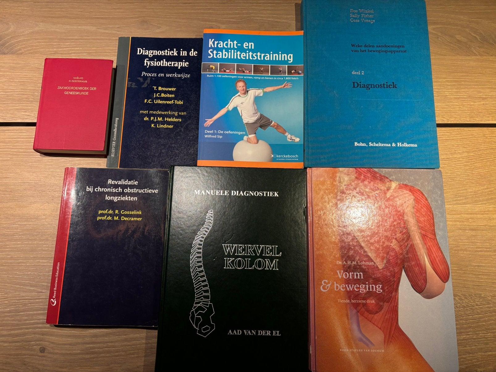Fysiotherapie boeken, Ophalen of Verzenden, Beta, Zo goed als nieuw, HBO