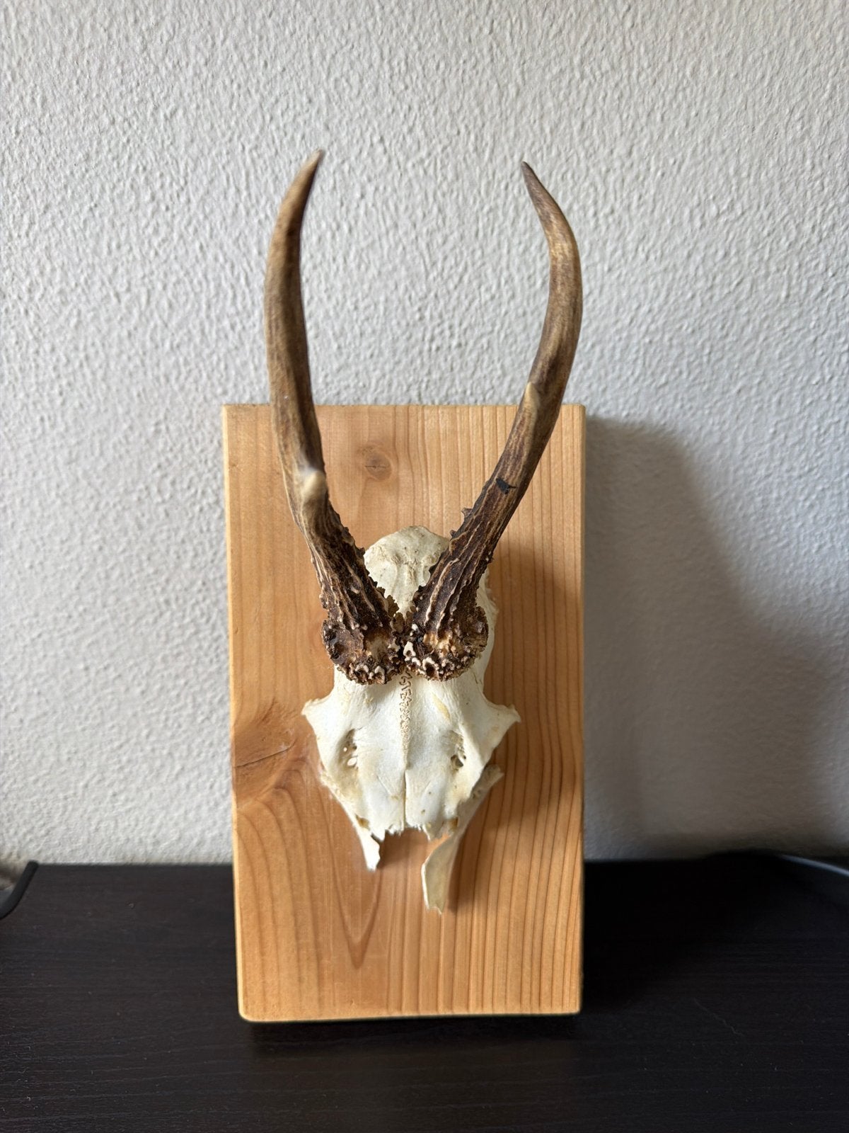Hertenkop met gewei op houten plank, Ophalen, Gebruikt