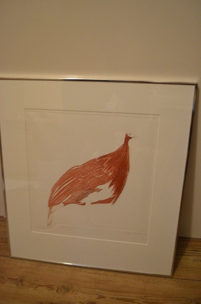 Ets Parelhoen van Lolke v.d. Kooi, Ophalen, 65 cm, Flora en Fauna, 61 cm