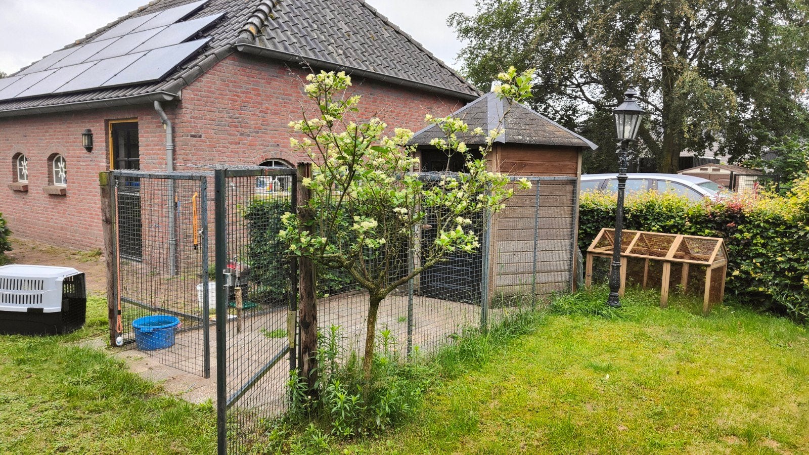 Hondenren, Dieren en Toebehoren, Ophalen, 110 cm of meer, 100 cm of meer