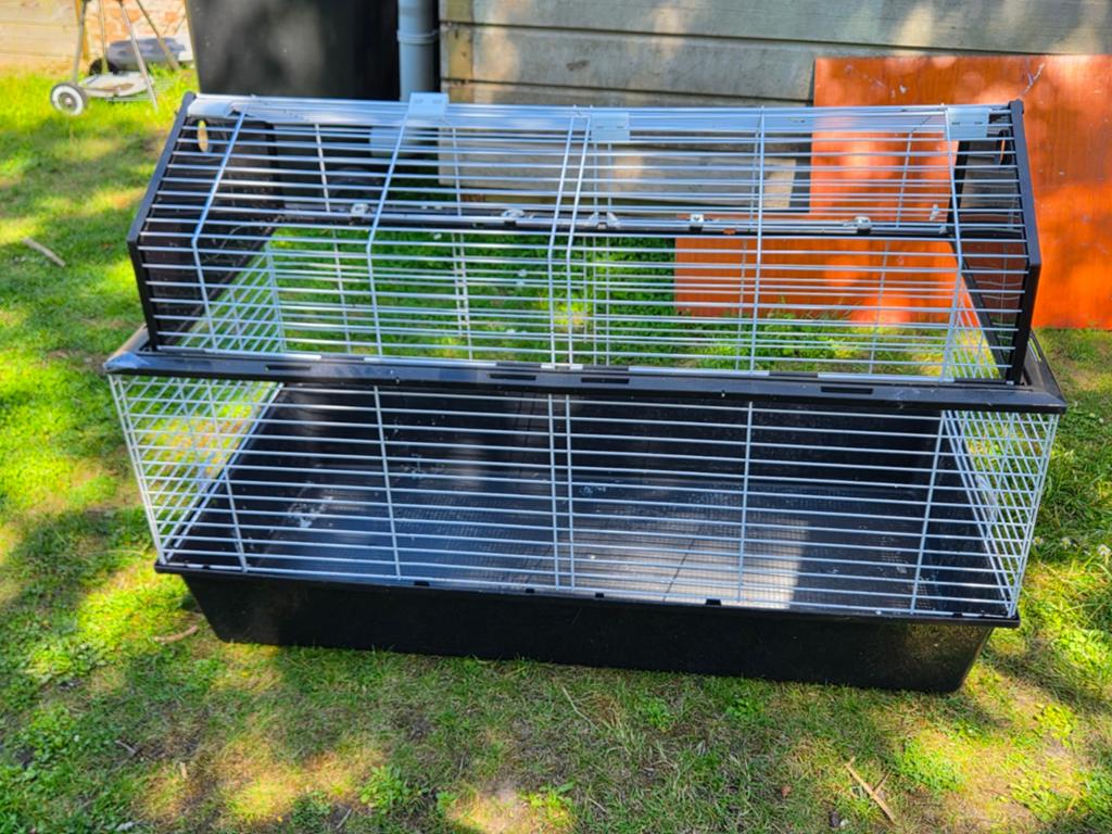 Konijnenhok/rattenhok, Dieren en Toebehoren, Knaagdieren en Konijnen | Hokken en Kooien, Ophalen of Verzenden, 110 cm of meer