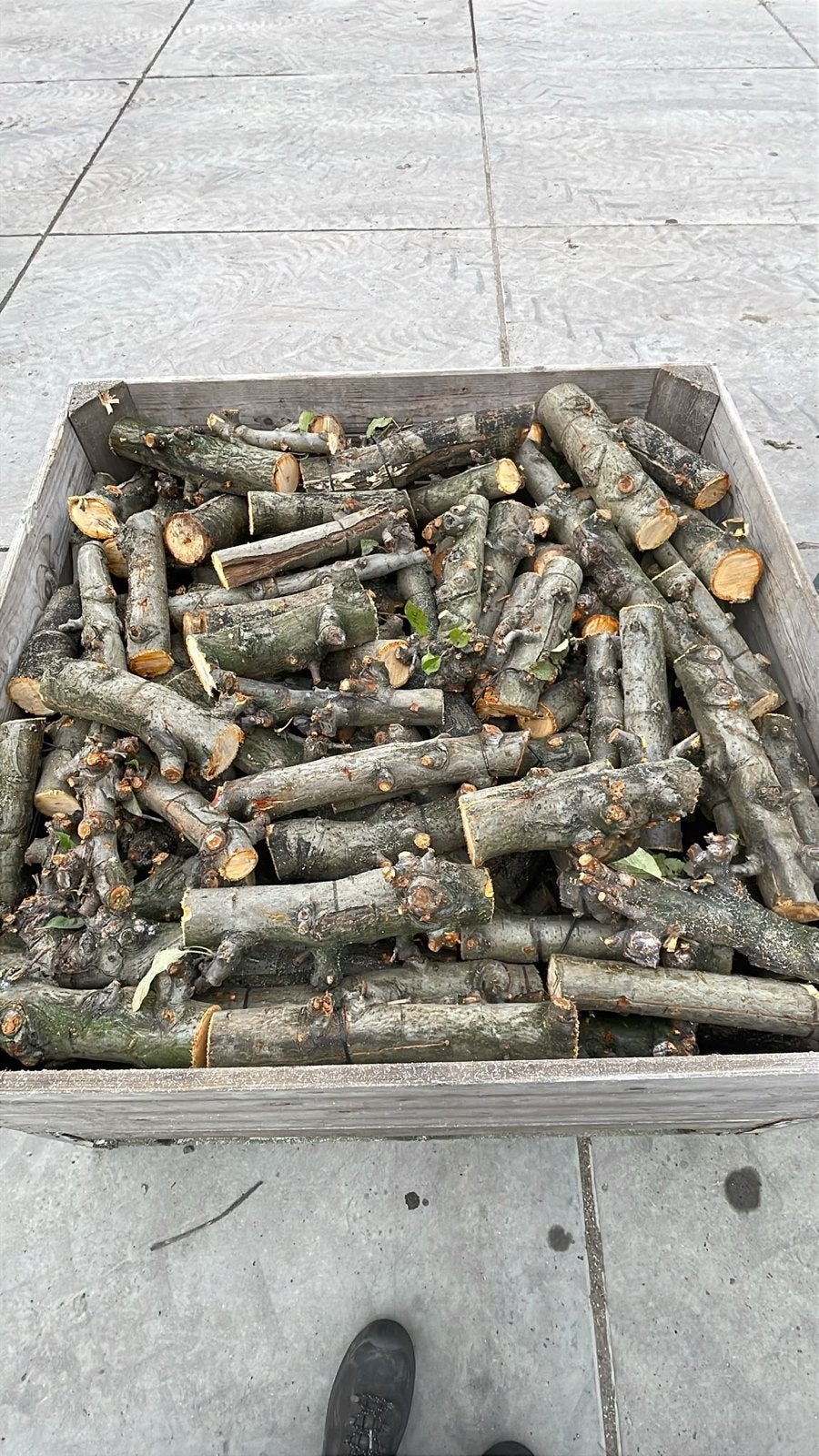 Appelhout te koop - Openhaardhout per kuub, 6 m³ of meer, Ophalen, Overige houtsoorten, Blokken