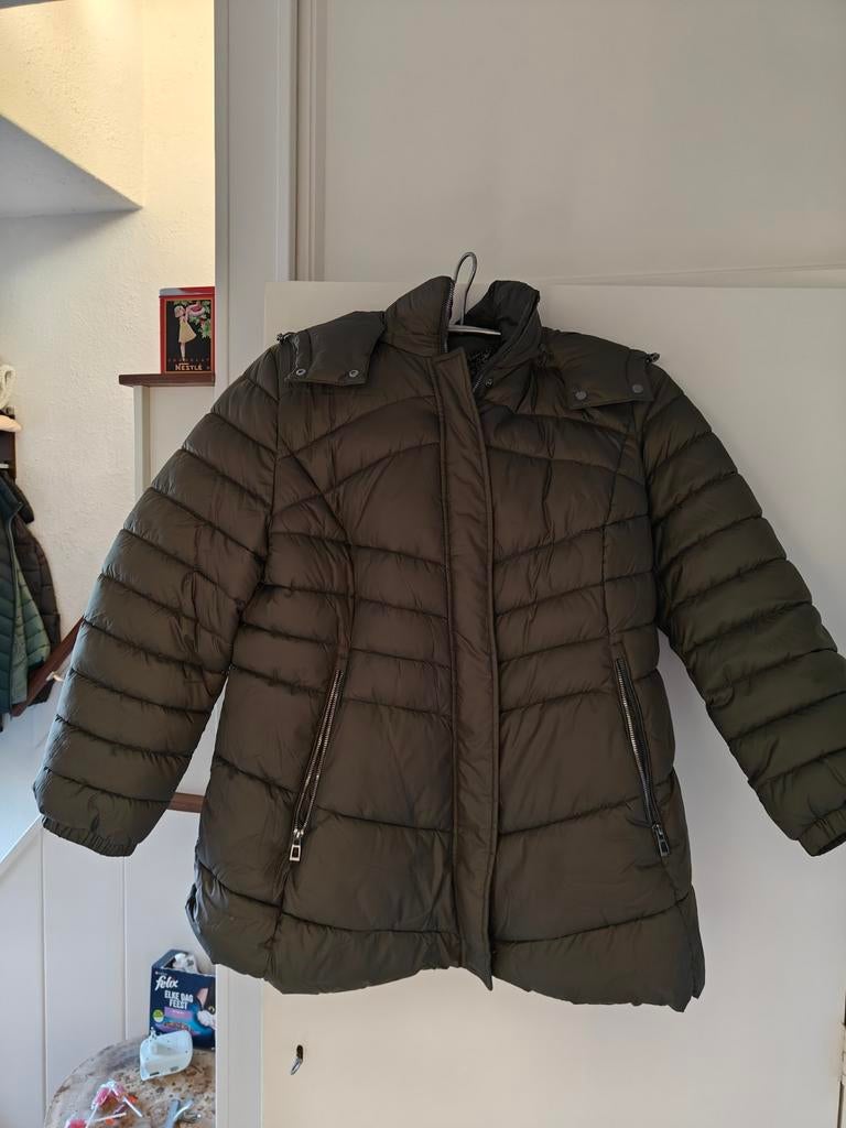 Groene winterjas Gerry Weber, Kleding | Dames, Jassen | Winter, Ophalen of Verzenden, Nieuw, Maat 46/48 (XL) of groter, Groen