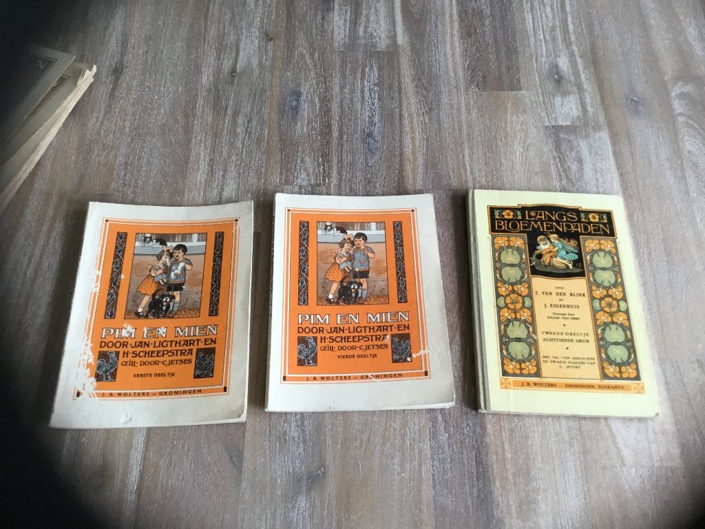 Oude leesboekjes, Jan Ligthart en H. Scheepstra, Fictie, Ophalen, Gelezen