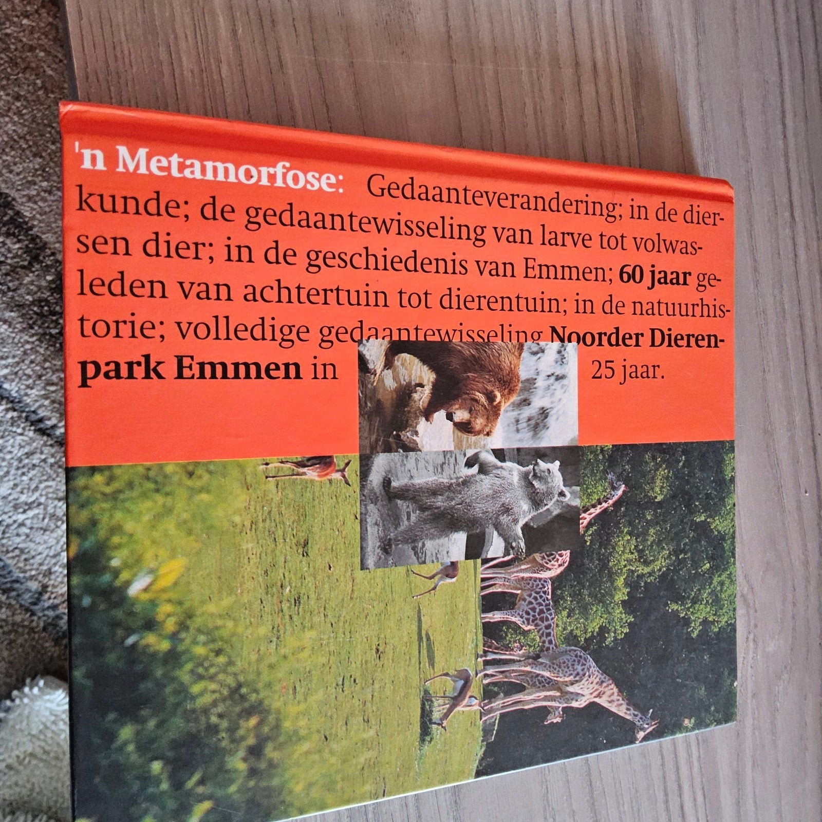 N metamorfose dierentuin emmen, Ophalen, Zo goed als nieuw, Interieur en Design