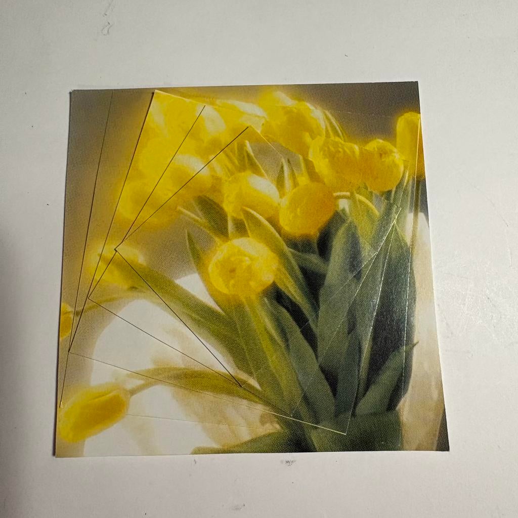 3d plaatje 11 gele bloemen, Ophalen of Verzenden, Nieuw, Natuur, Overige typen