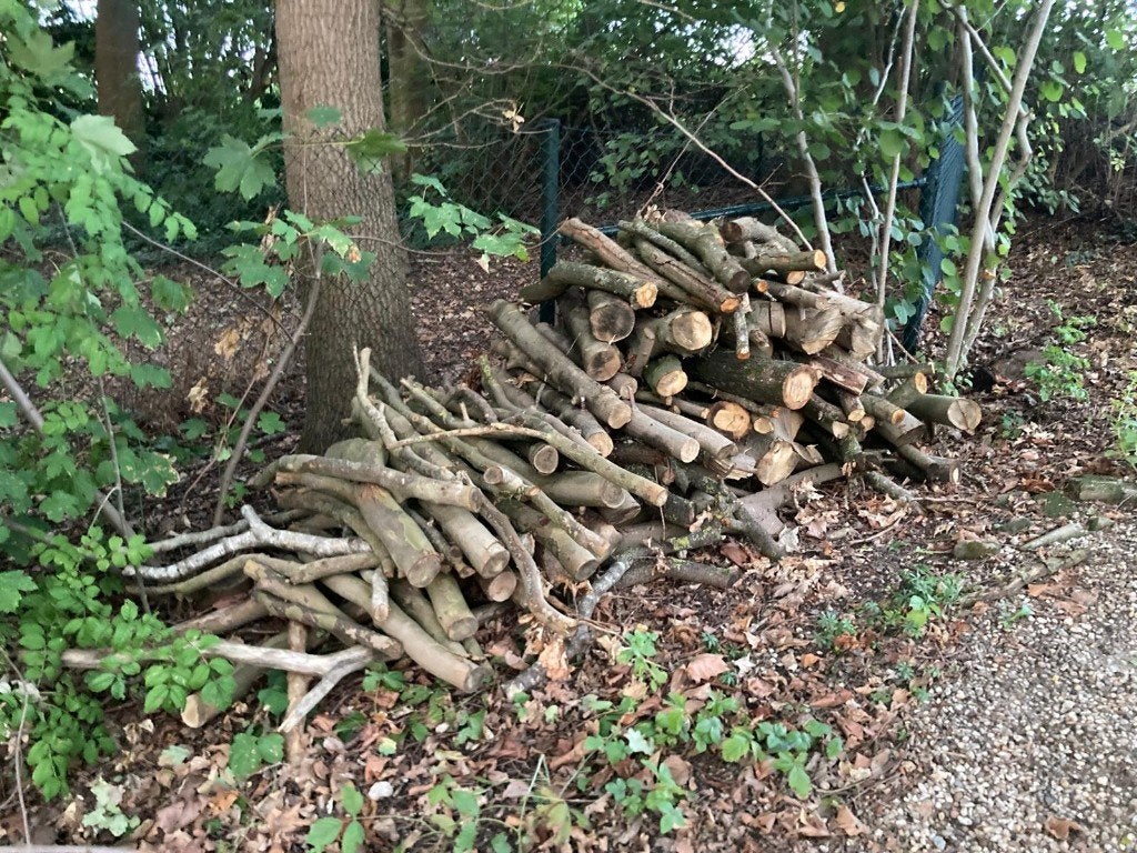 Stammen vers brandhout te koop, Minder dan 3 m³, Ophalen, Essenhout, Stammen
