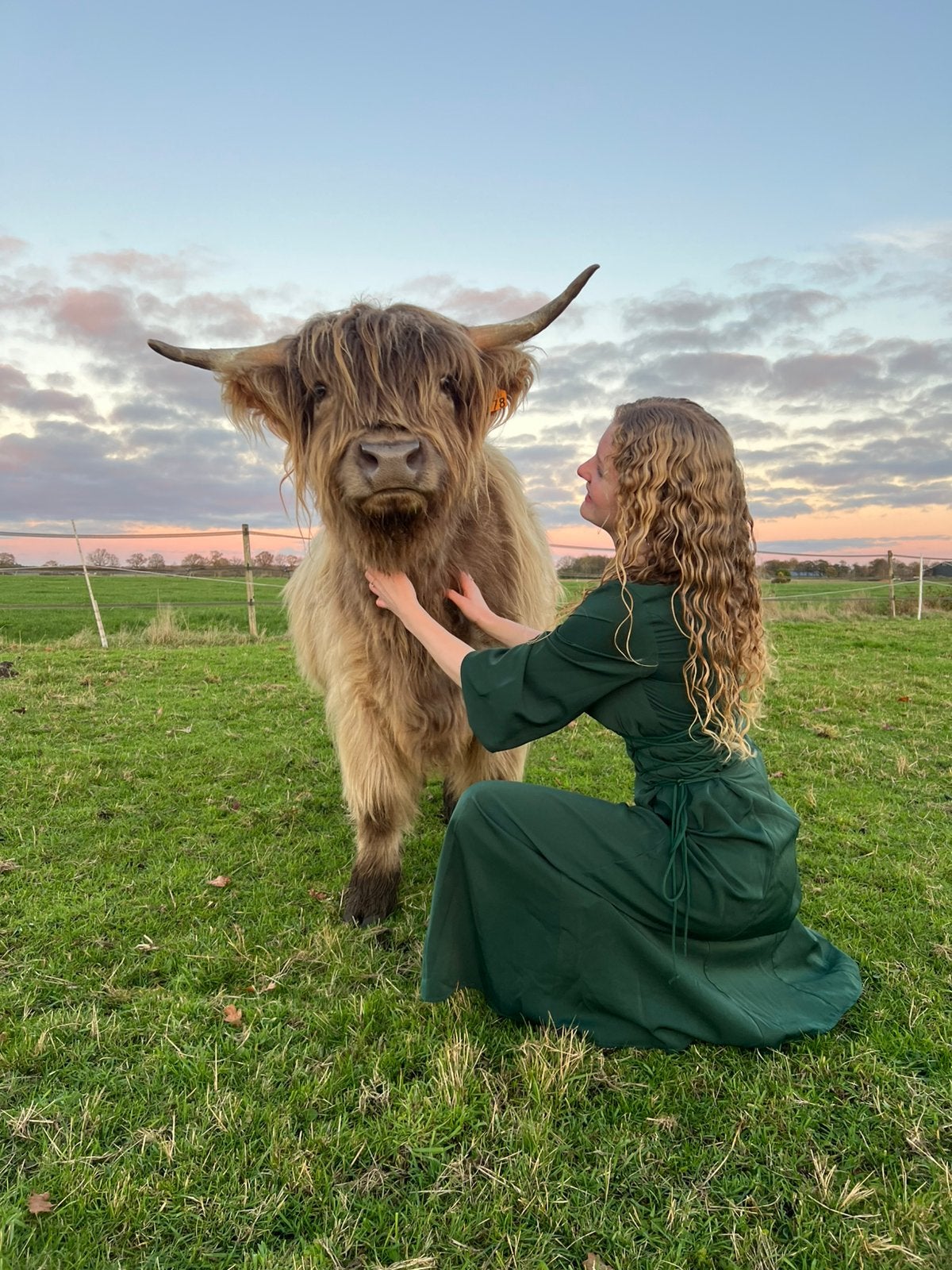Meet & Greet met een lieve, unieke (mini) Schotse Hooglander