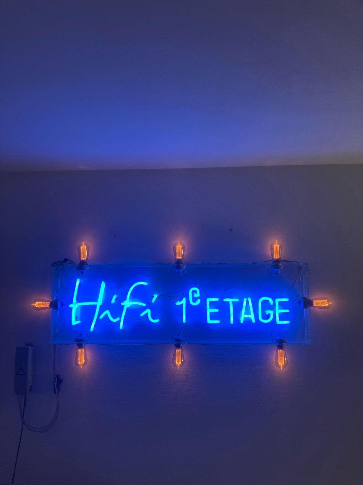 Neon Sign Collectors Item Interieur Center Piece Eyecatcher, Ophalen of Verzenden, Zo goed als nieuw, Licht