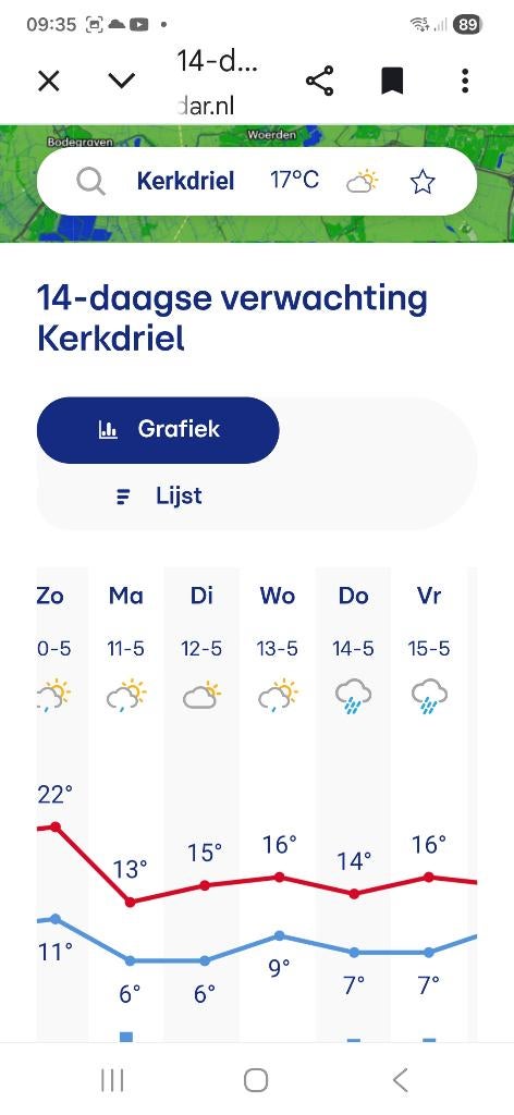 tomaten planten, Tuin en Terras, Planten | Tuinplanten, Ophalen, Volle zon, Groenteplanten, Eenjarig