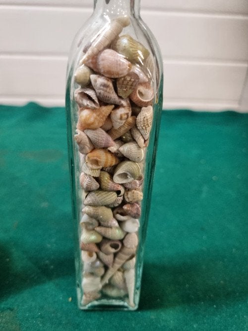 flesjes met mini schelpen 2 stuks, Ophalen of Verzenden, 'T Olde Gre-j, Info@toldegrej.nl, Endepoelstraat 20f Didam