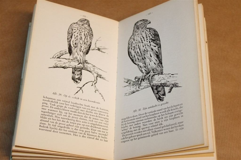 De Havik — Paul Opdam [Dieren Dichterbij - Gebonden], Ophalen of Verzenden, Gelezen, Katten