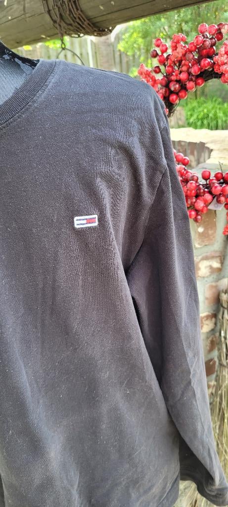 TOMMY HILFIGER zwarte longsleeve tshirt maat L zgan, Kleding | Heren, T-shirts, Maat 52/54 (L), Zwart, Tommy Hilfiger, Ophalen of Verzenden