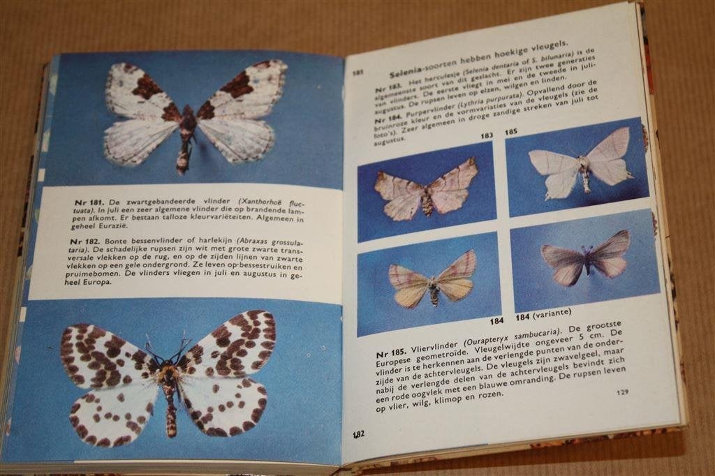 Vlinders van Europa. Meulenhoff Natuurgidsen. 1963., Ophalen of Verzenden, Gelezen, Overige diersoorten