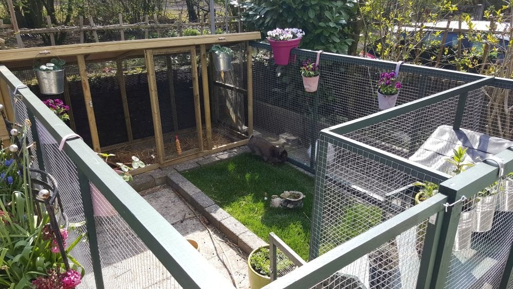 1 of 2 voedsters gezocht: SENIOREN +6 jaar oud, Vrouwelijk, Middelgroot, 6 tot 8 jaar