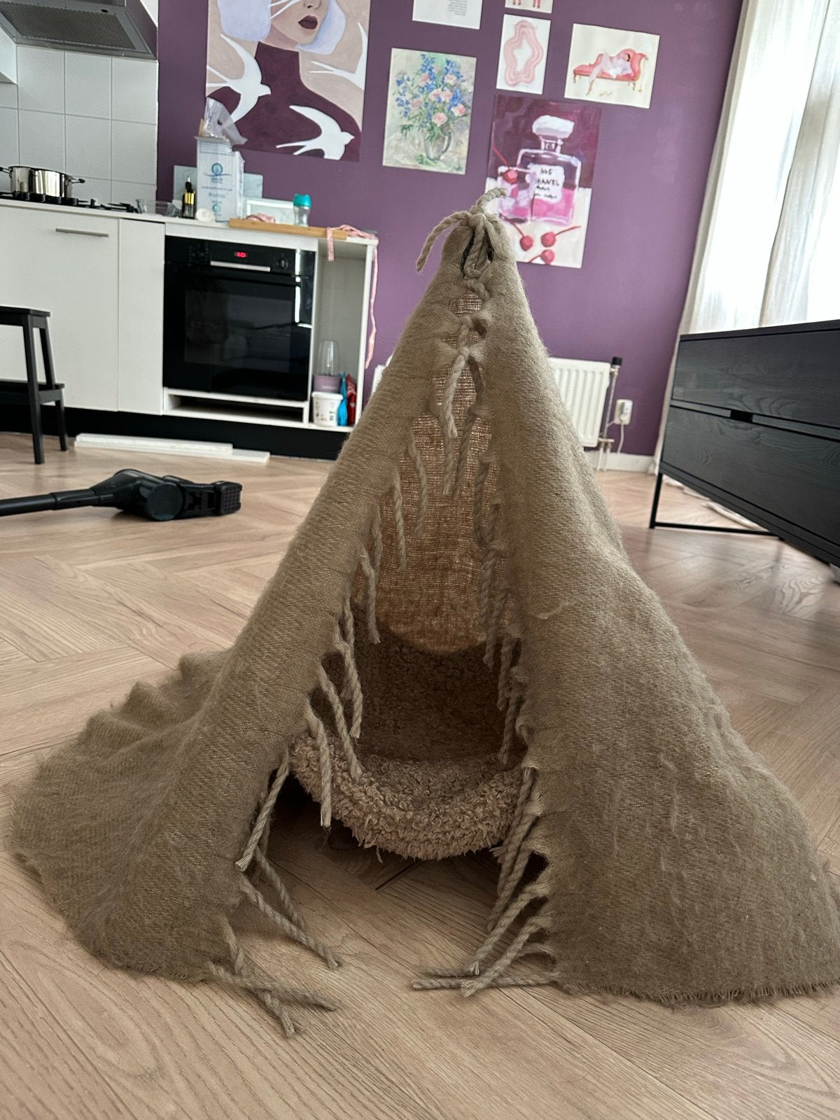 Leuke tipi tent van de hangkat, Dieren en Toebehoren, Ophalen, Gebruikt, Overige