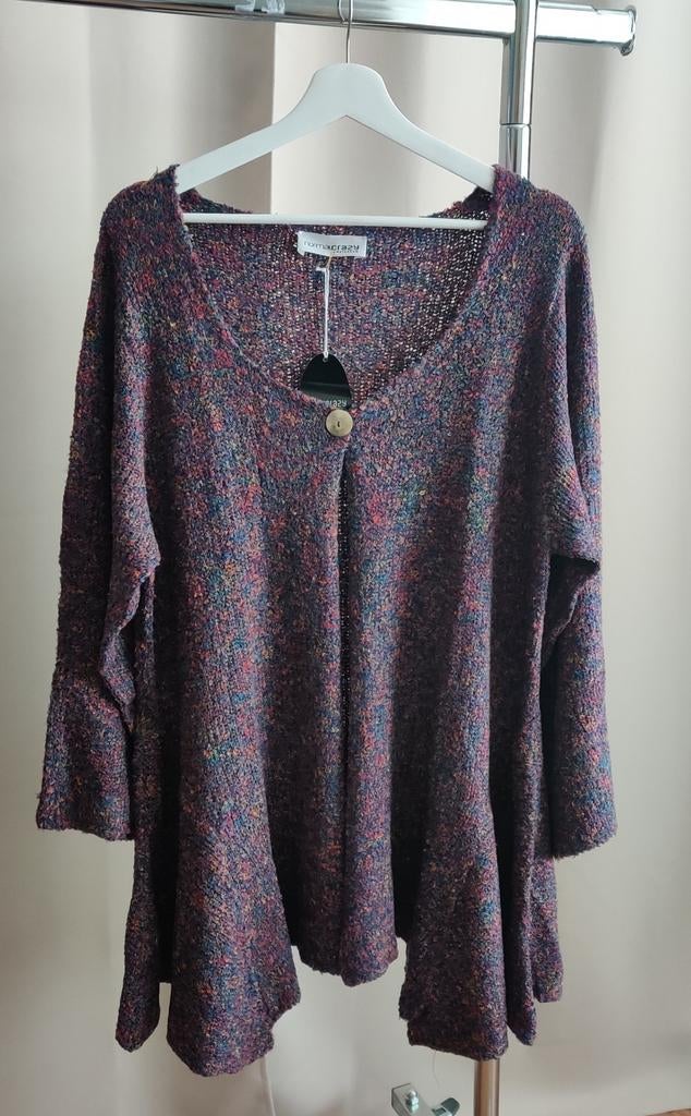 Nieuw Normal Crazy fijngebreid Vest Rayon XL Long Wizard, Kleding | Dames, Grote Maten, Ophalen of Verzenden, Nieuw, Trui of Vest