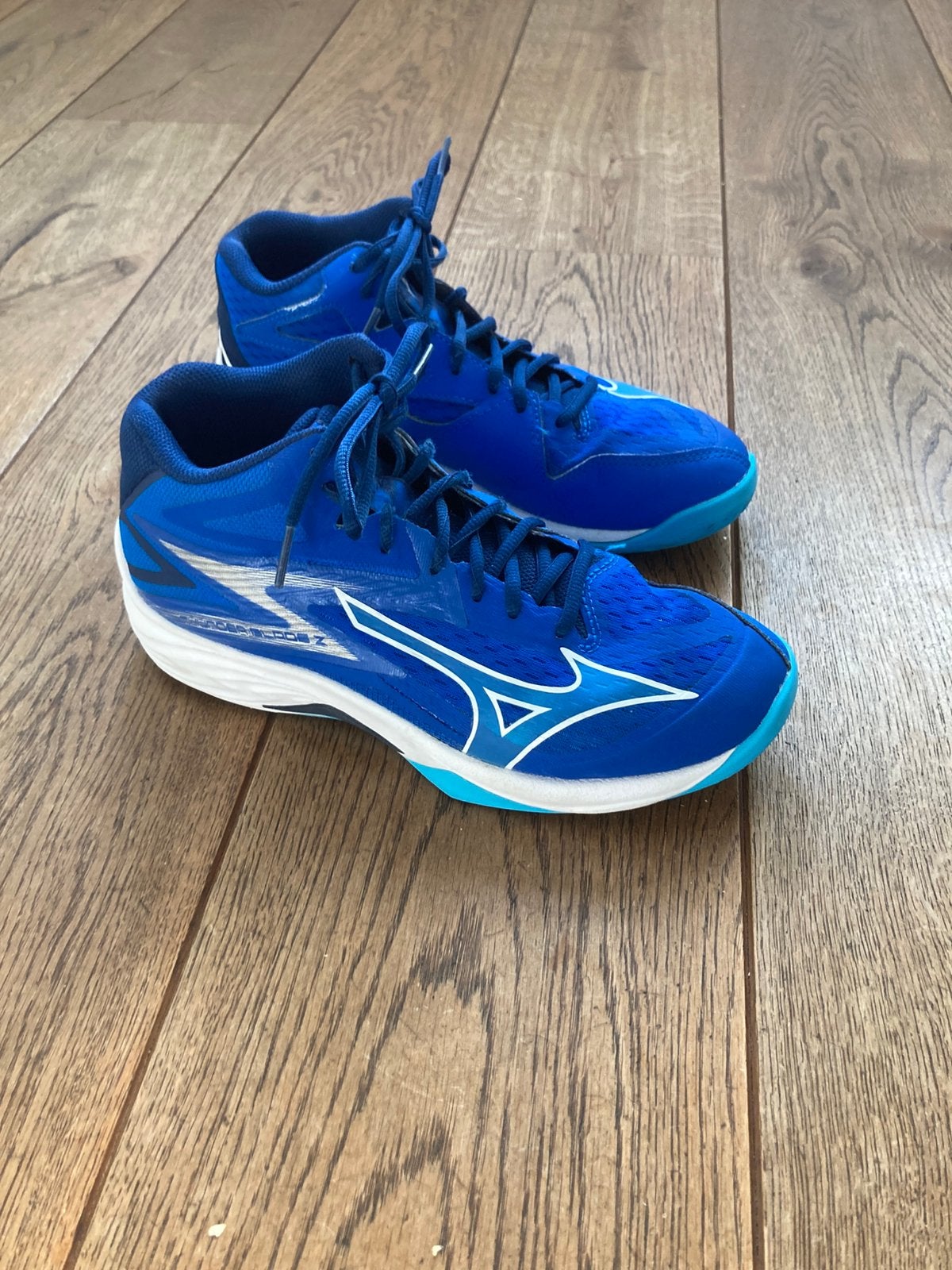 Mizuno Thunde Blade Zaalschoenen, Maat 39, Sport en Fitness, Ophalen of Verzenden, Gebruikt, Schoenen