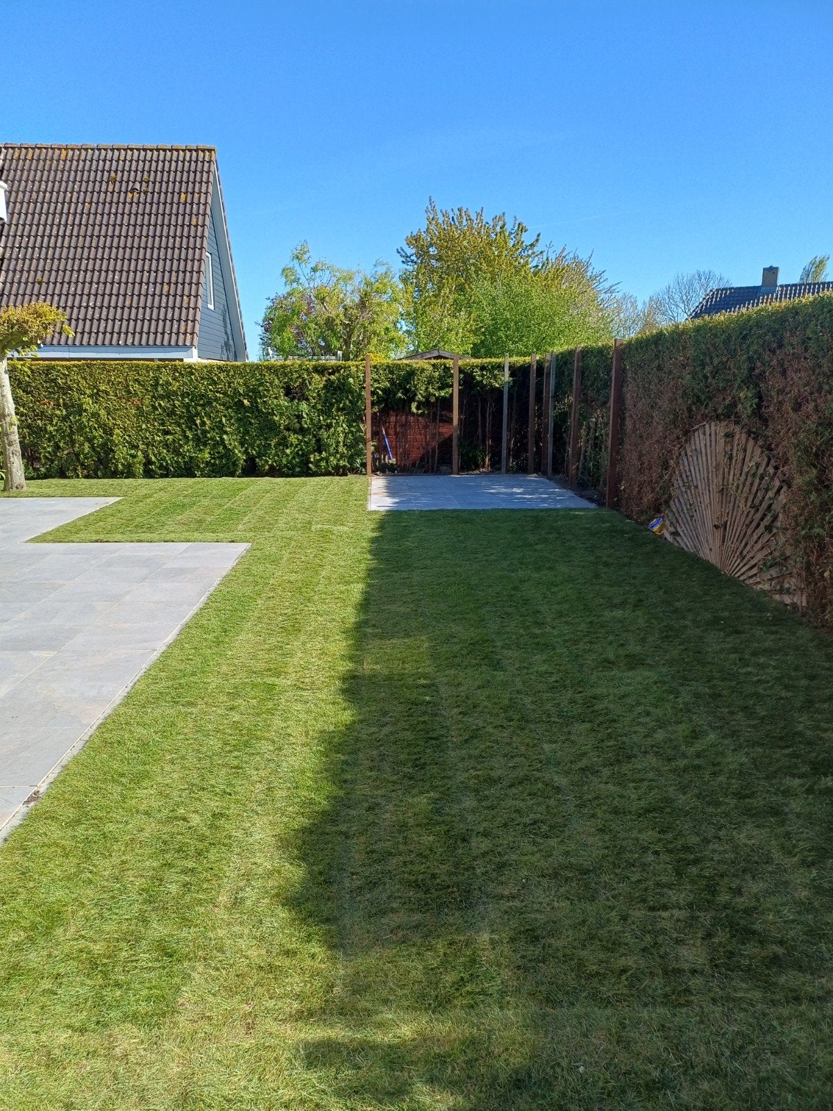 Graszoden grasmatten aanlegservice, Ophalen, Nieuw, 20 m² of meer, Gras