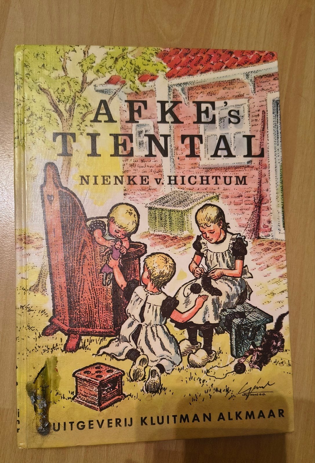 Afke's Tiental - Nienke van Hichtum (Kluitman Alkmaar), Ophalen of Verzenden, Zo goed als nieuw, Nienke van Hichtum, Fictie algemeen