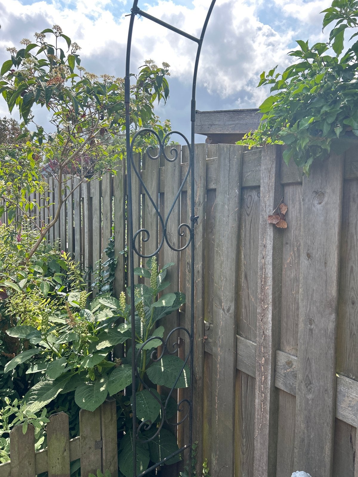 Decoratieve Rozenboog van IJzer voor Tuin, Ophalen, Gebruikt