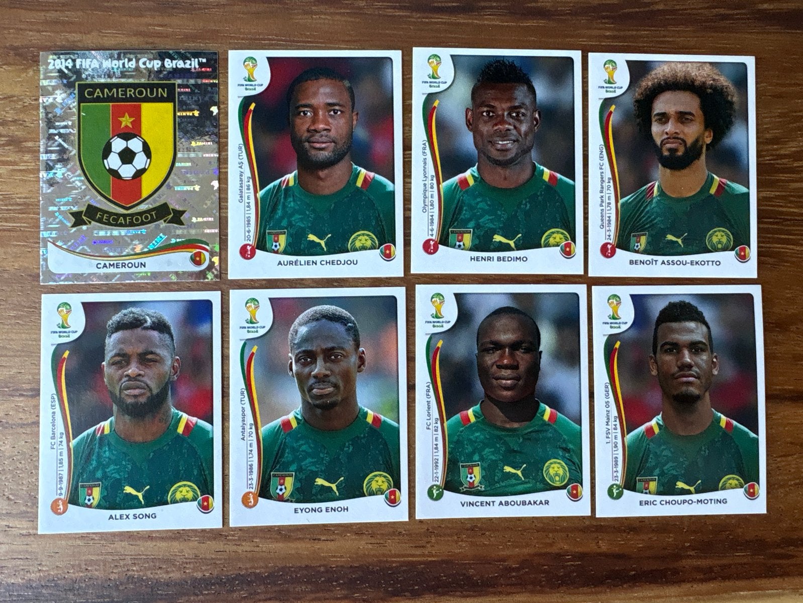 Panini WK 2014 Kameroen stickers en plaatjes, Ophalen of Verzenden, Zo goed als nieuw, Stickers en Plaatjes