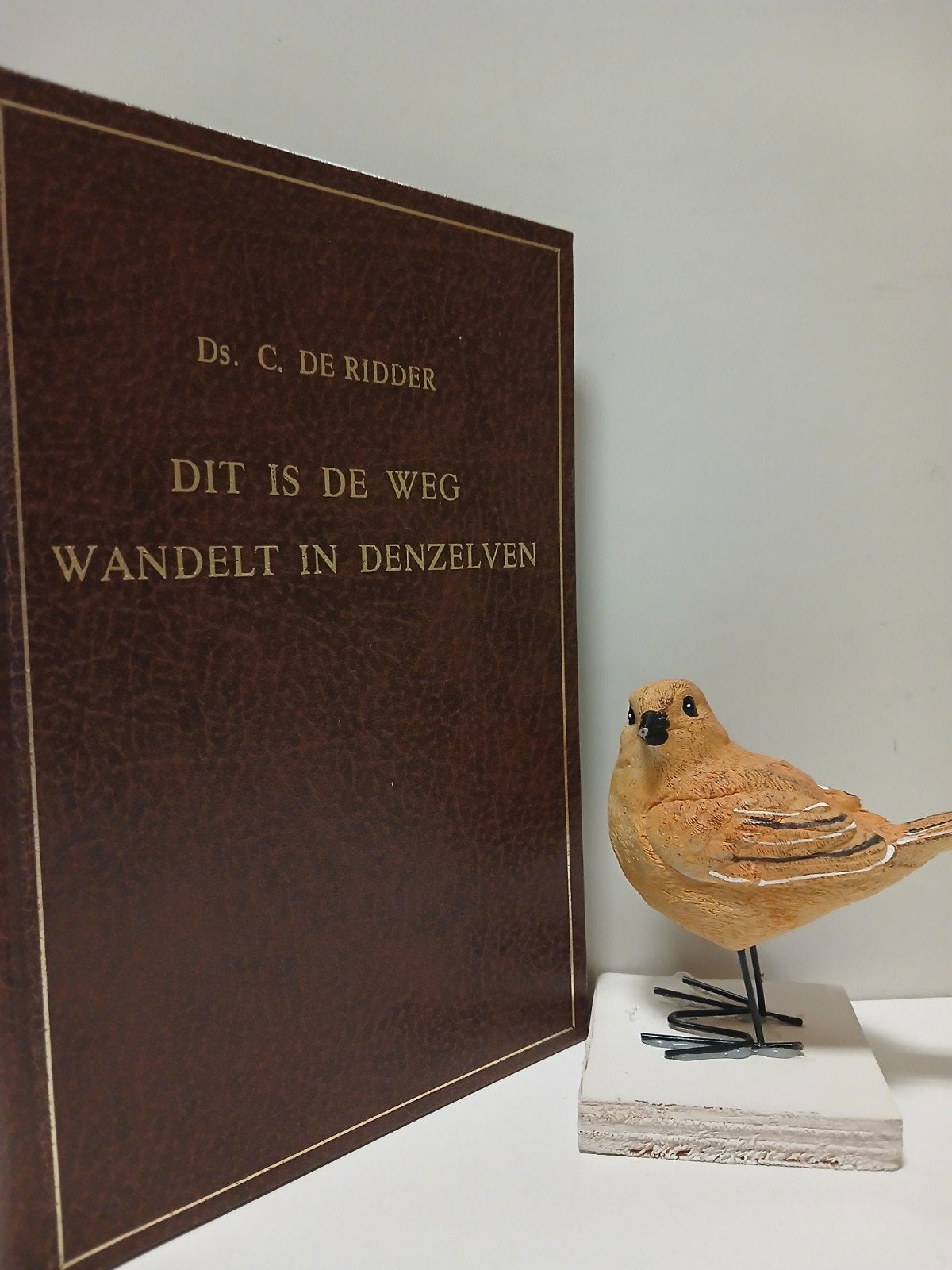 Ridder, Ds. C. de; Dit is de weg wandelt in denzelven, Ophalen of Verzenden, Gelezen, Christendom | Protestants