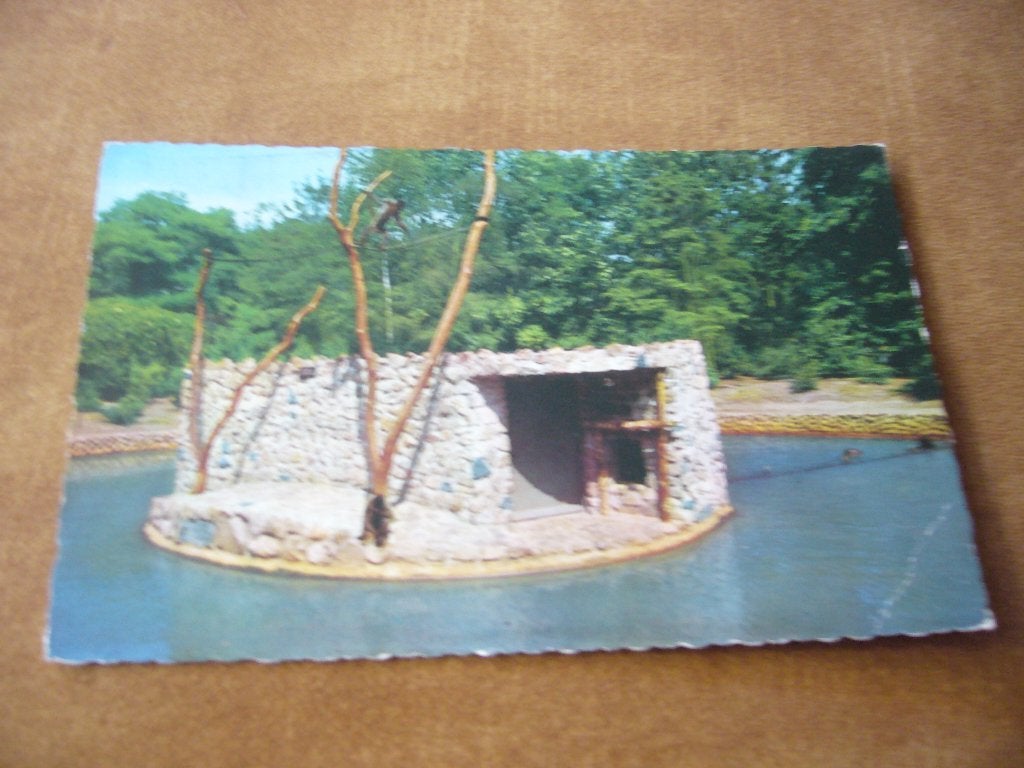 EMMEN  =  NOORDERDIERENPARK   - WOLAPEN, Verzenden, 1940 tot 1960, Gelopen, Drenthe