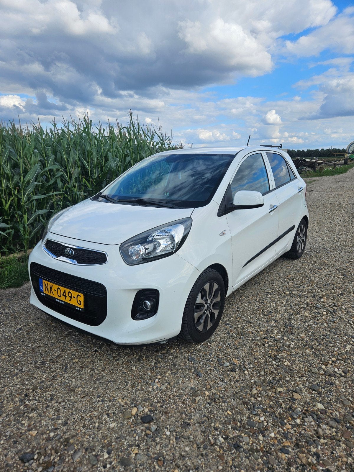 Witte Kia picanto, 4 stoelen, Wit, Origineel Nederlands, 24 km/l