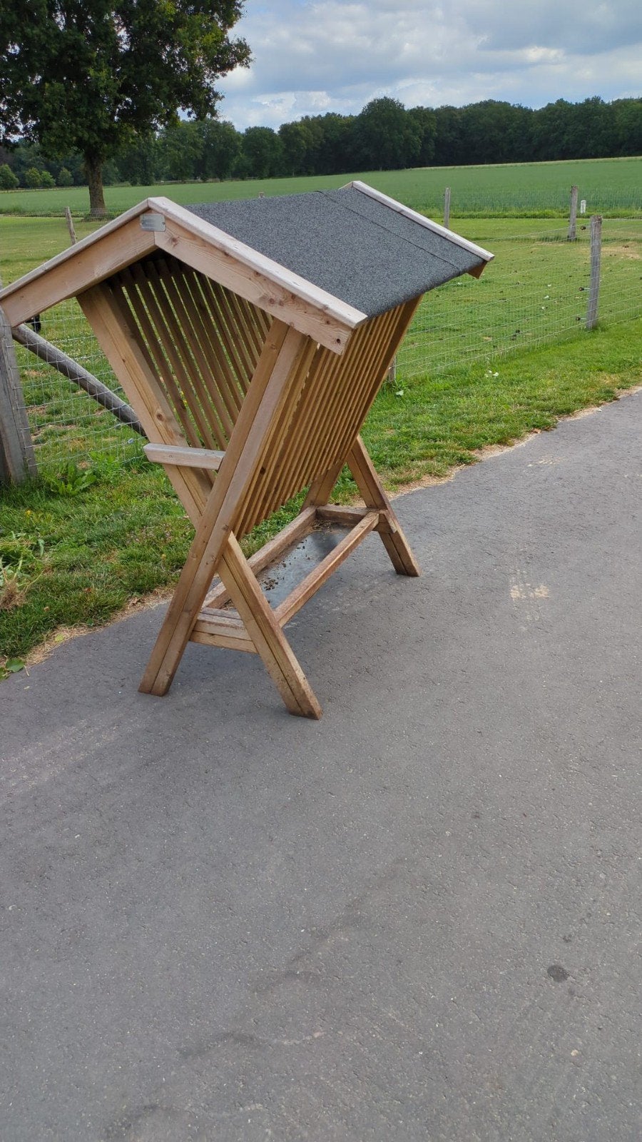Te koop, Hooiruif, Mannelijk, Schaap