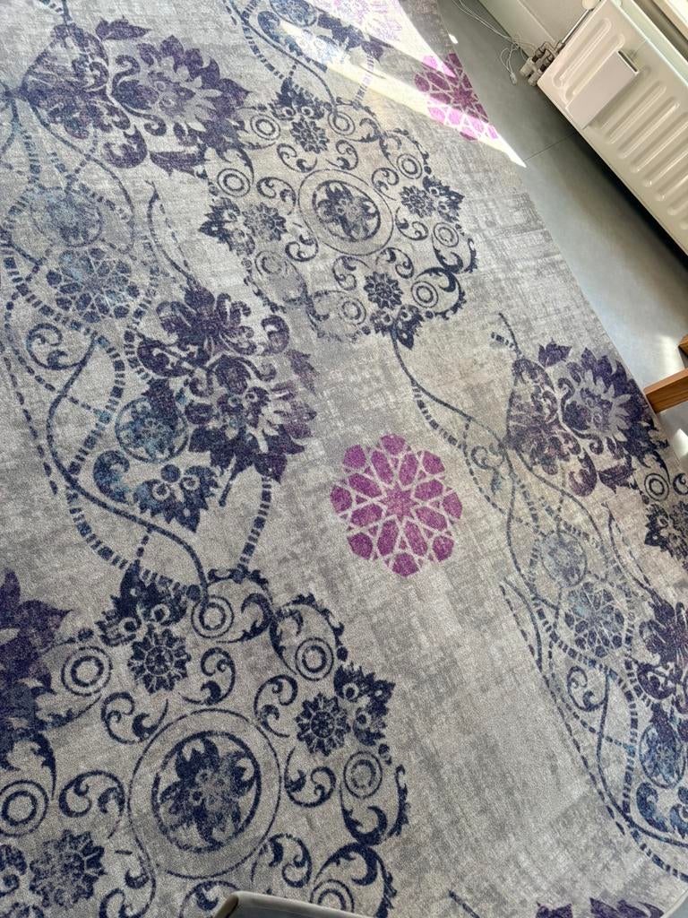 Vloerkleed Bonaparte 170x240, Grijs, Gebruikt, 100 tot 150 cm, 200 cm of meer