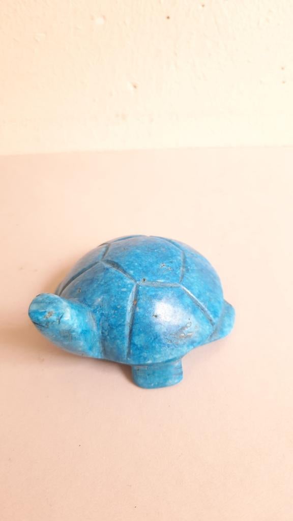 Schildpadjes voor verzameling, turquoise pr papier + hout, Ophalen of Verzenden, Dier