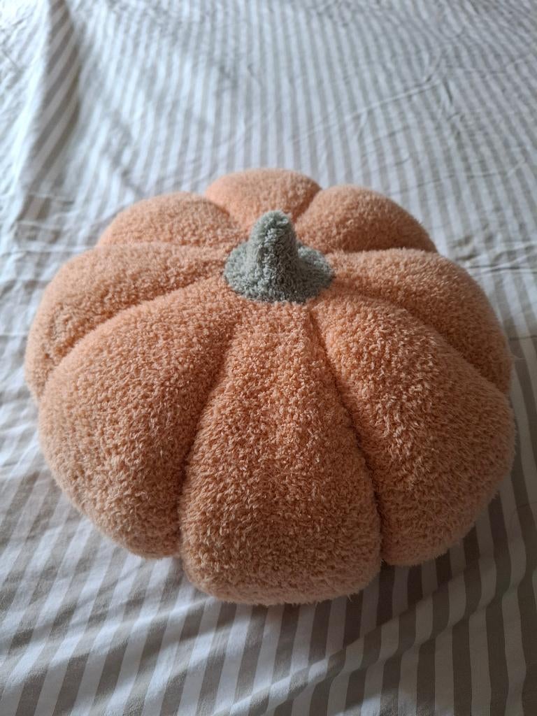 Pompoen kussen, Ophalen of Verzenden, Zo goed als nieuw, Oranje, Rond