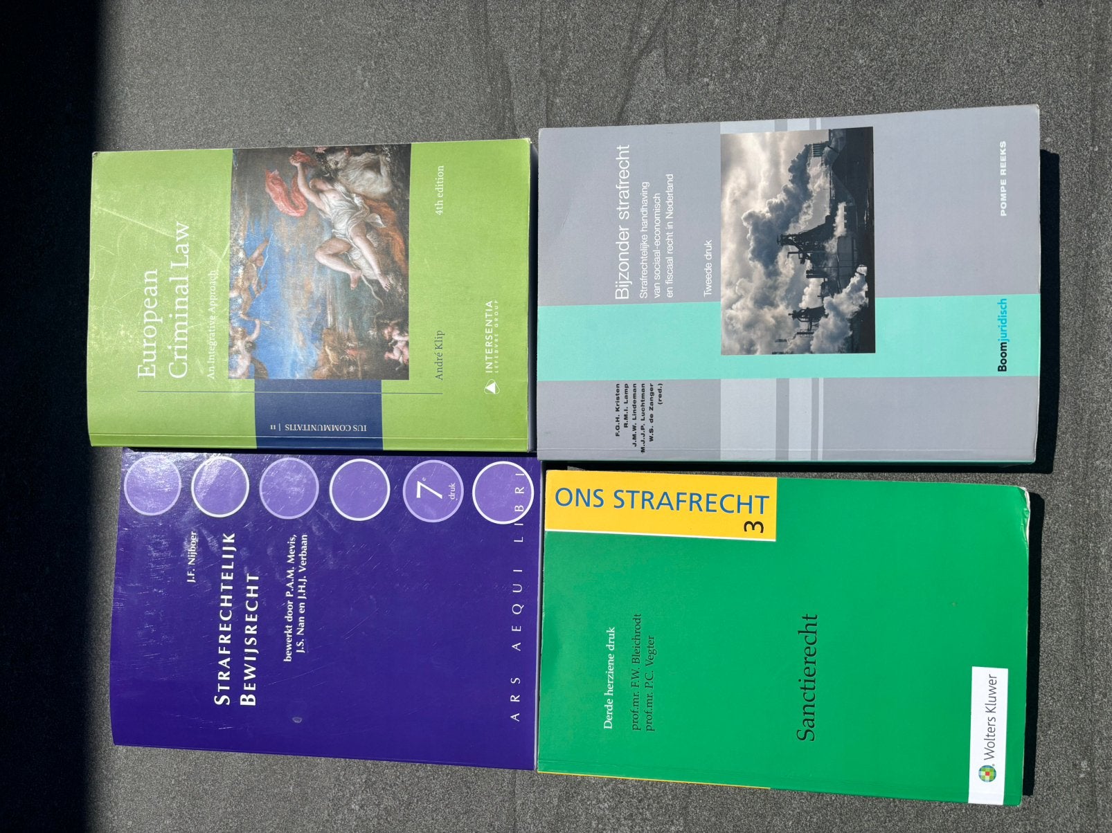 Boeken master straf- en strafpfocesrecht Universiteit Leiden, Ophalen of Verzenden, Alpha, Zo goed als nieuw, WO
