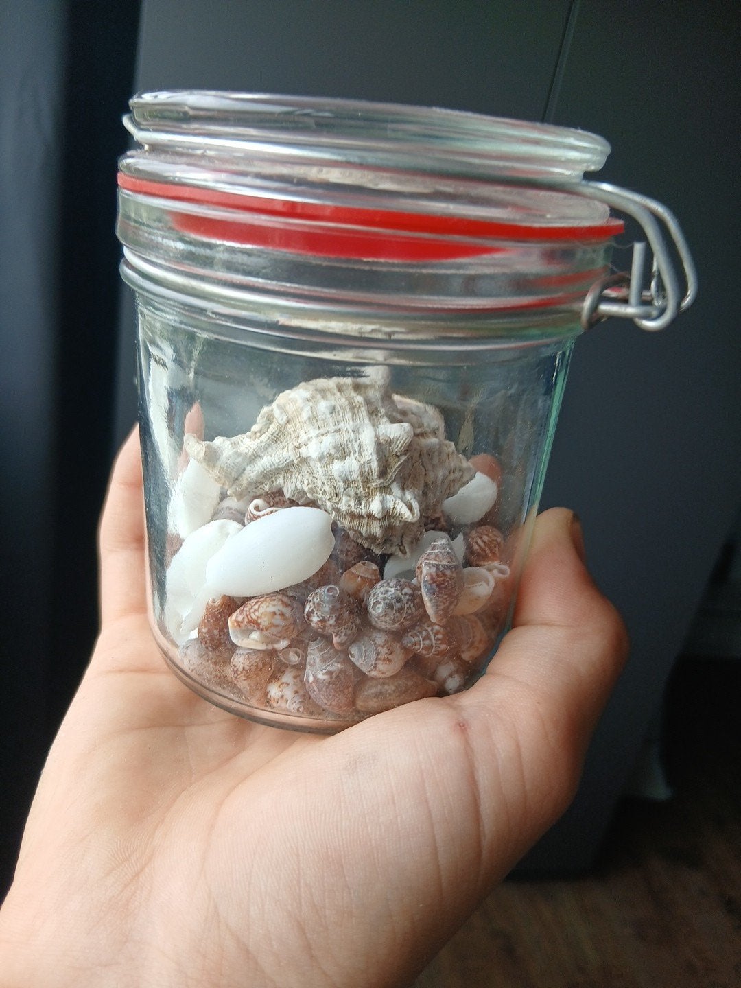 Glazen pot met diverse schelpen, Ophalen, Gebruikt