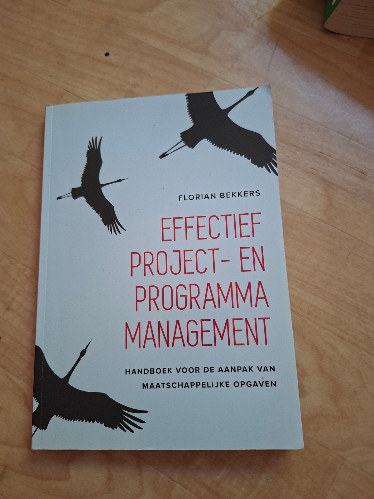Effectief Project- en Programmamanagement - Florian Bekkers, Florian Bekkers, Zo goed als nieuw, Gamma, HBO