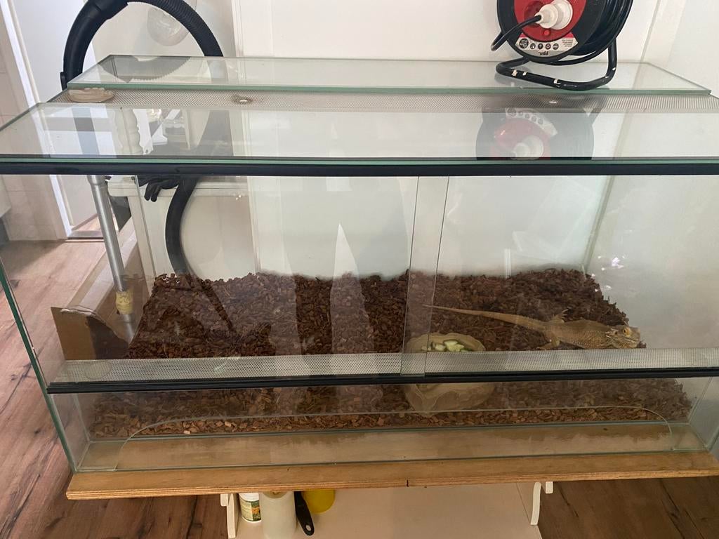 Terrarium, Ophalen, Zo goed als nieuw, Terrarium of Paludarium
