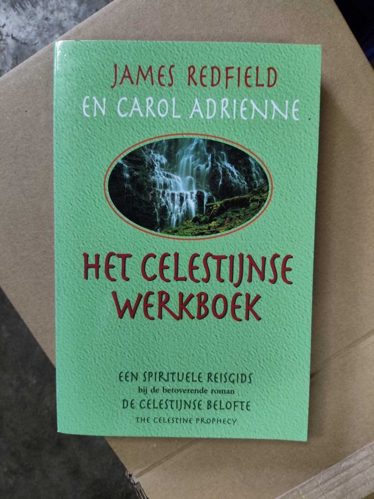 James Redfield - Het Celestijnse werkboek, James Redfield, Astrologie, Overige typen, Ophalen of Verzenden