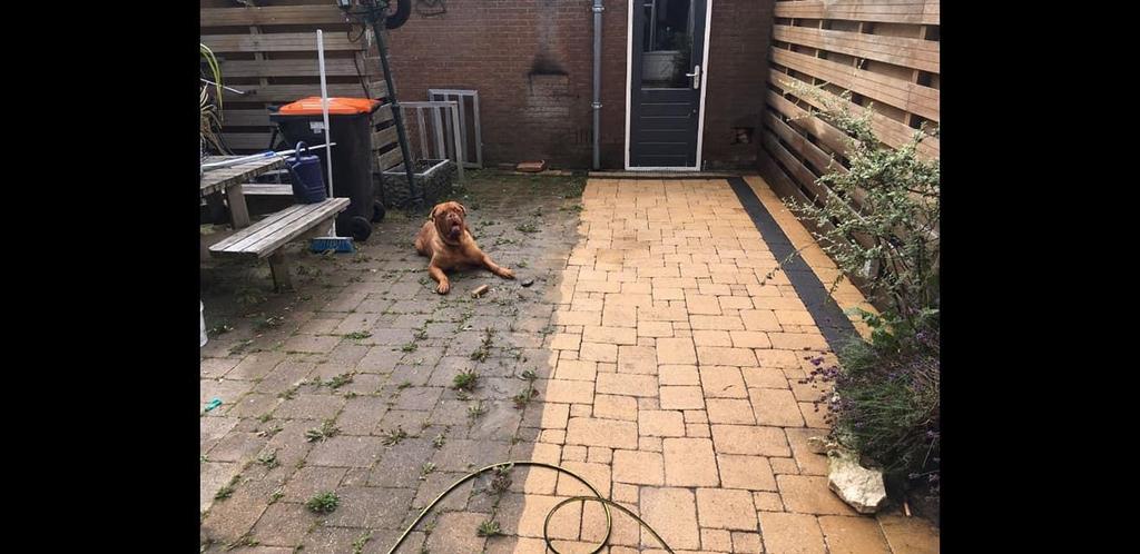 Uw tuin onkruidvrij tuinman/onkruid/bestrating reinigen, Bestrating