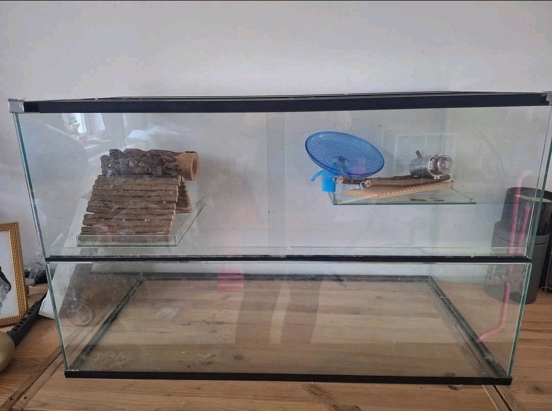 Absoluut paradijs voor uw kleine knager! Nooit meer rommel, Dieren en Toebehoren, Overige typen, Hamster, Zo goed als nieuw, 75 tot 110 cm