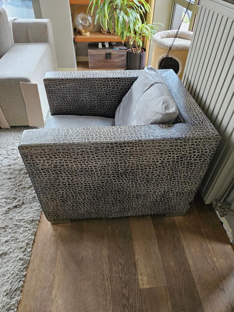 Minotti crocodile print Suitcase by Rodolfo Dordoni, Ophalen, Gebruikt, Eenpersoons, Leer