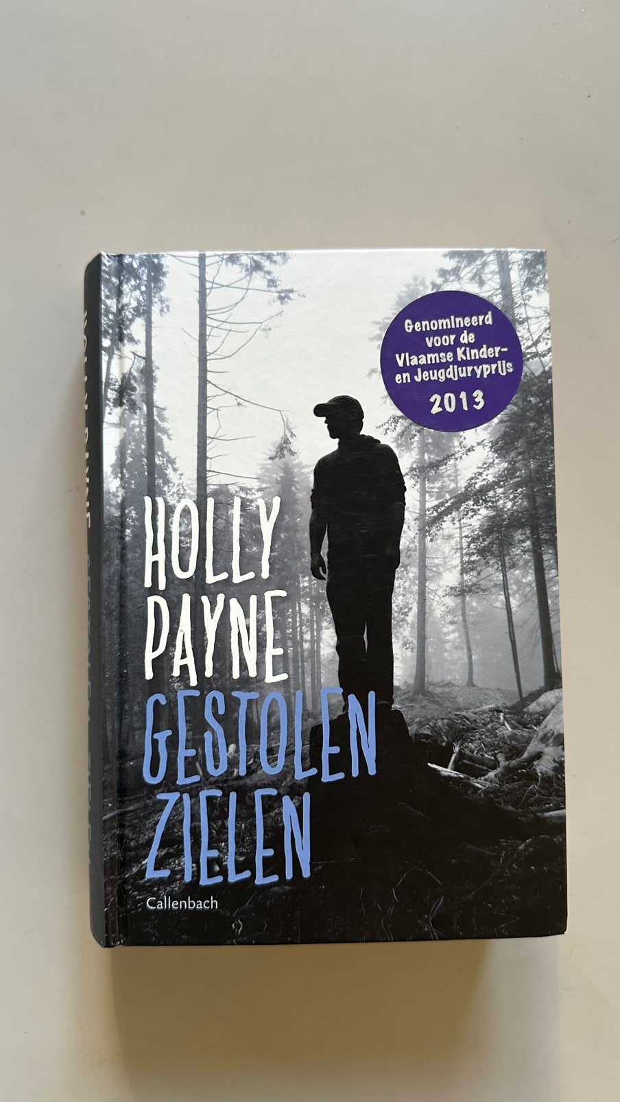 Holly Payne - Gestolen zielen - Hardcover, Ophalen of Verzenden, Nieuw, Holly Payne