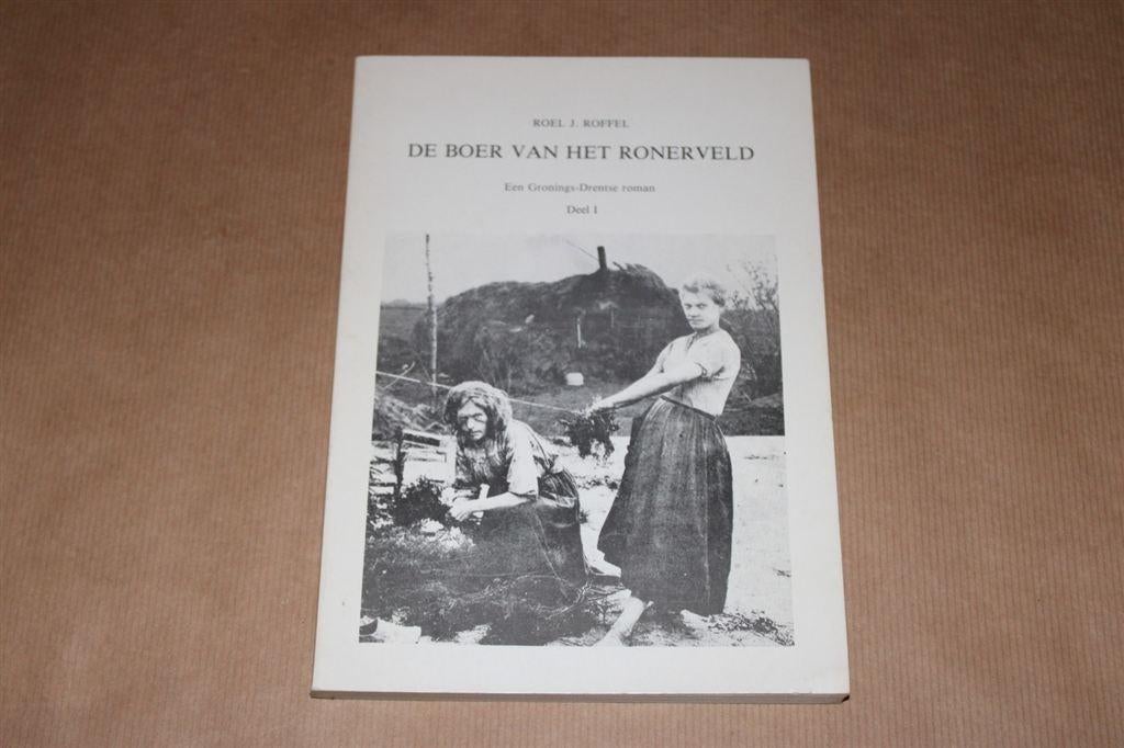 De boer van het Ronerveld - Gronings-Drentse roman, Ophalen of Verzenden, Zo goed als nieuw