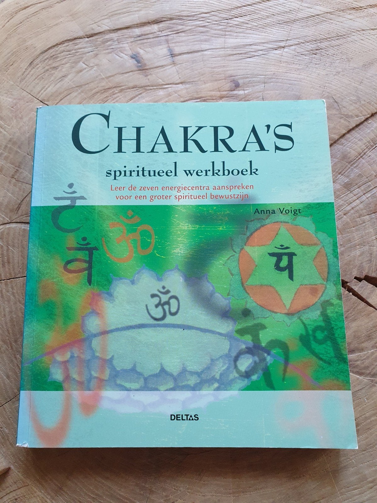 Anna Voigt - Chakra's, Anna Voigt, Spiritualiteit algemeen, Ophalen of Verzenden, Instructieboek