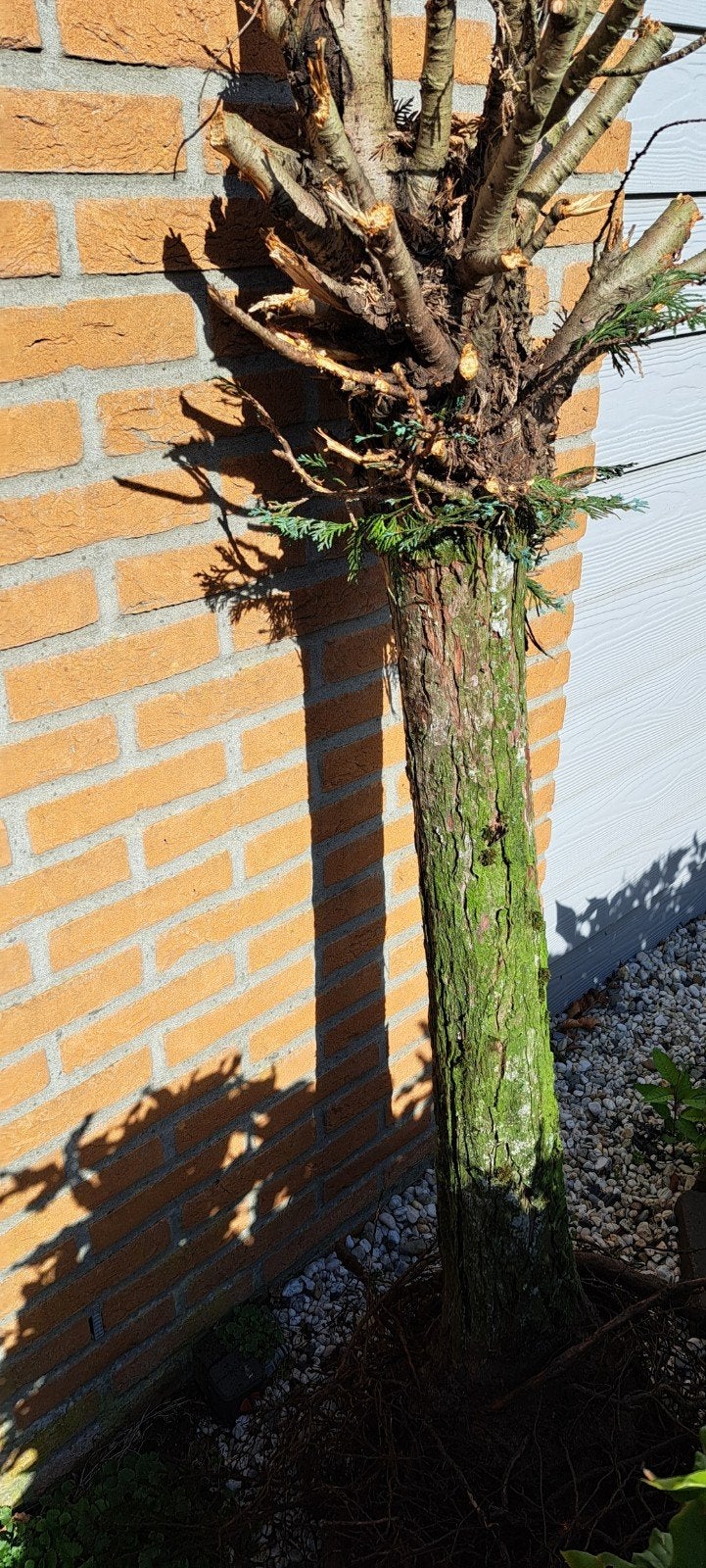 stammetje voor open haard of vuurkorf, Minder dan 3 m³, Ophalen