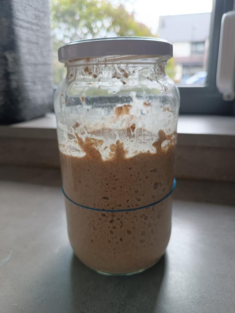 Actieve desemstarter 100% biologische roggemeel, Ophalen, Bakvorm