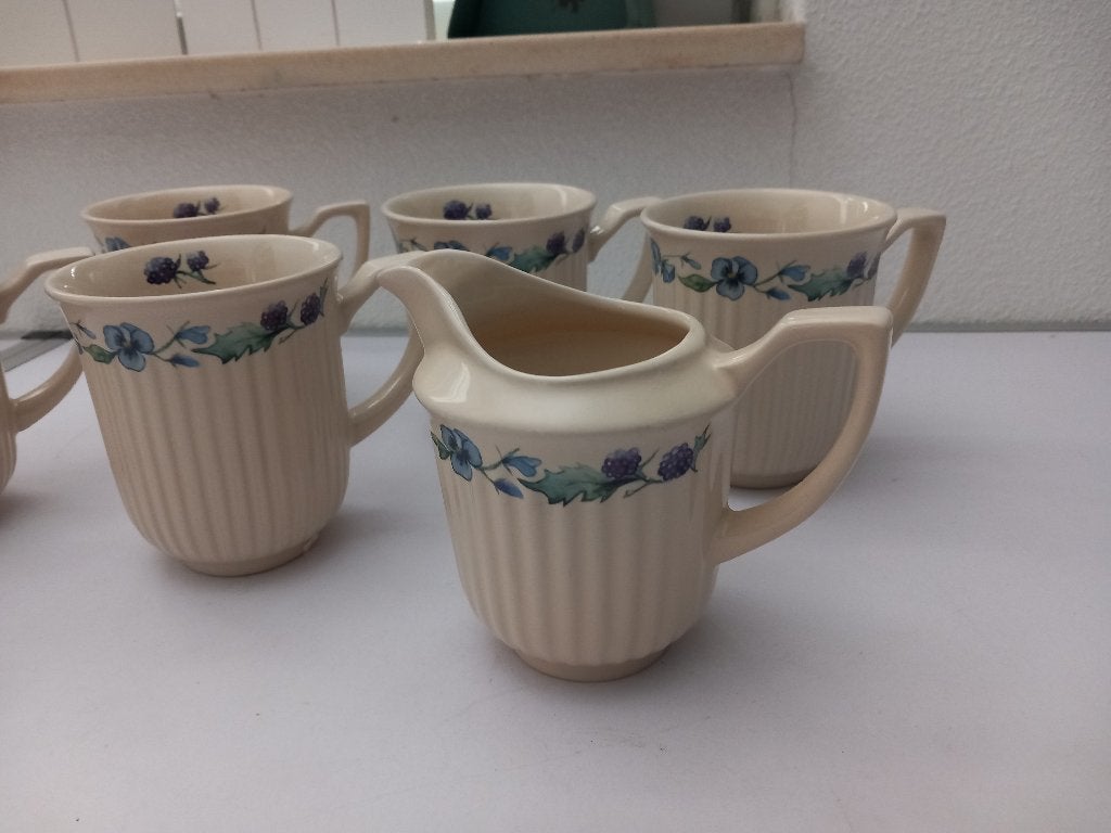Jet servies Bramen en Violen nieuw., Keramiek, Ophalen of Verzenden, Zo goed als nieuw, Overige stijlen