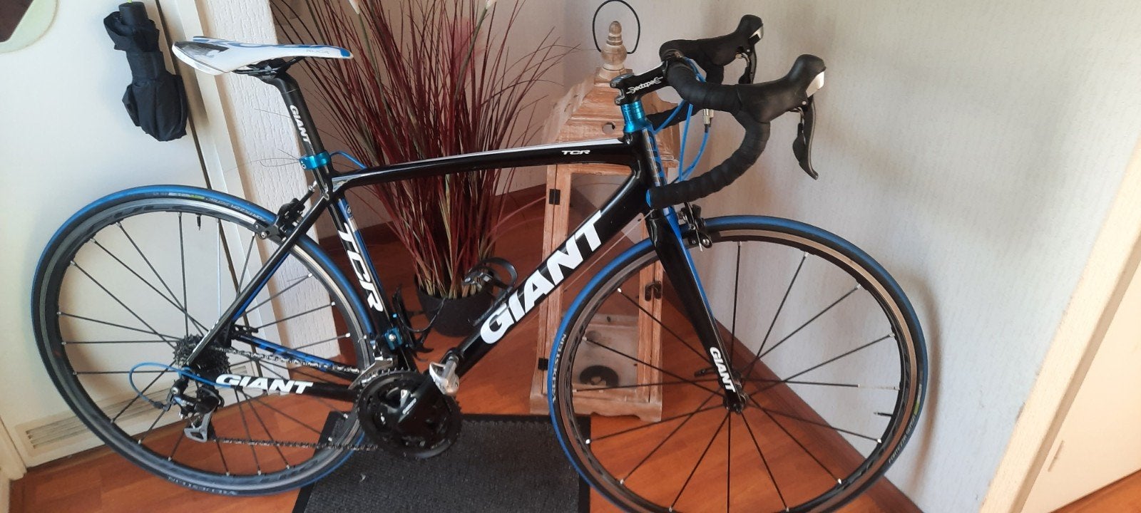 Giant tcr 1, Zo goed als nieuw, Meer dan 20 versnellingen, 53 tot 57 cm, Giant