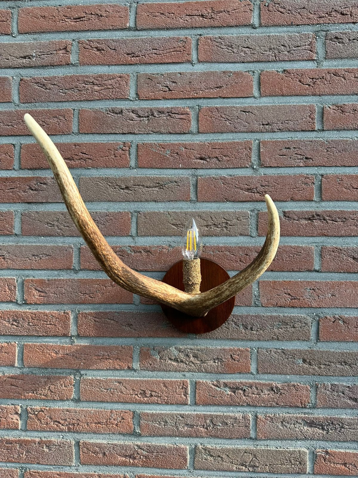 Geweien geweienlamp jacht Veluwe geweien edelhert wandlamp., Ophalen of Verzenden, Nieuw